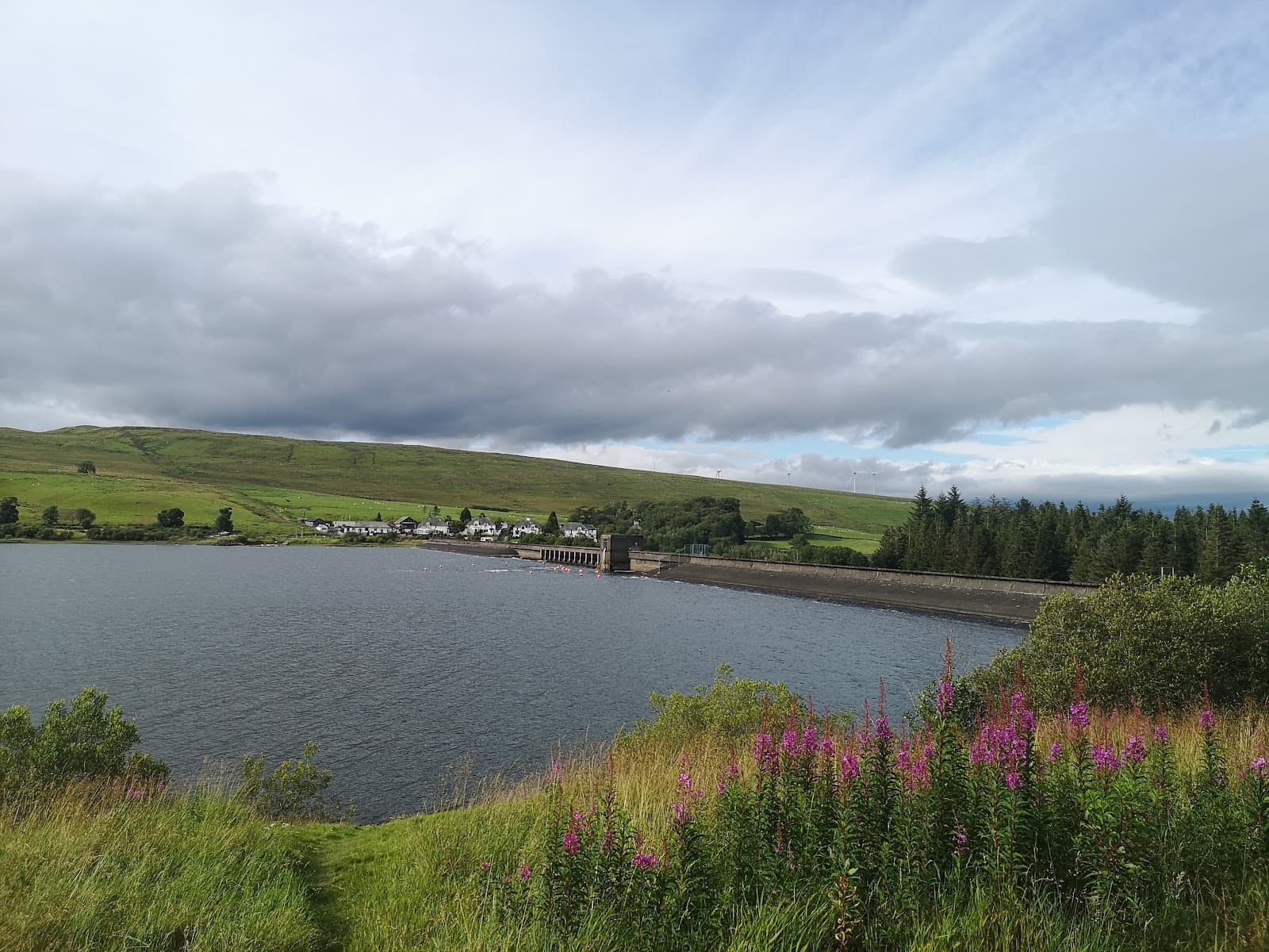 Carron Valley Reservoir and Forest - Image 1