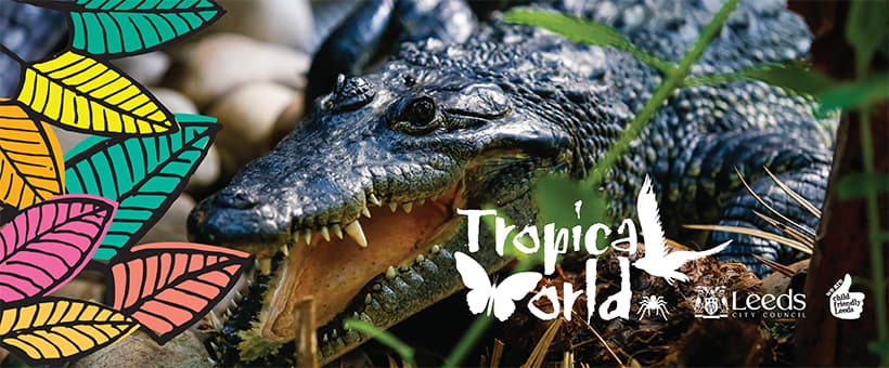 Tropical World - Image 1