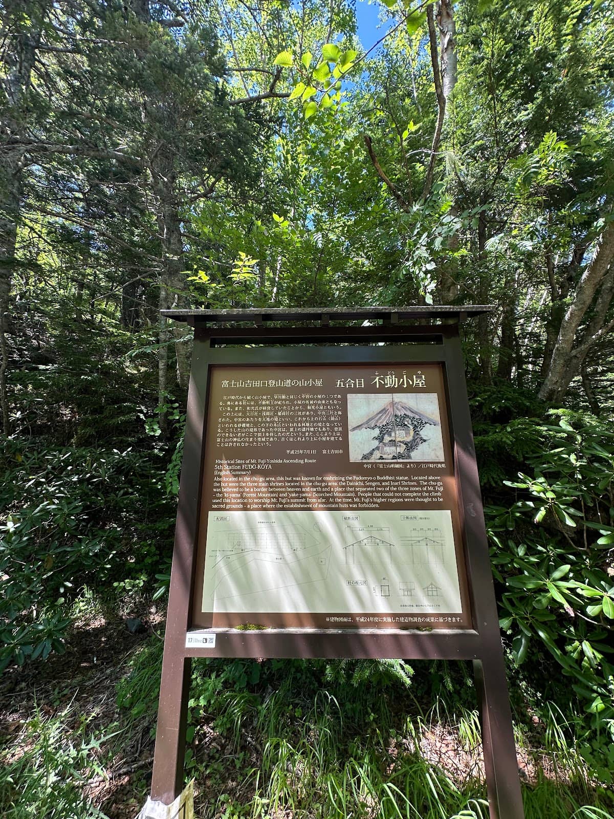 Vertical photo