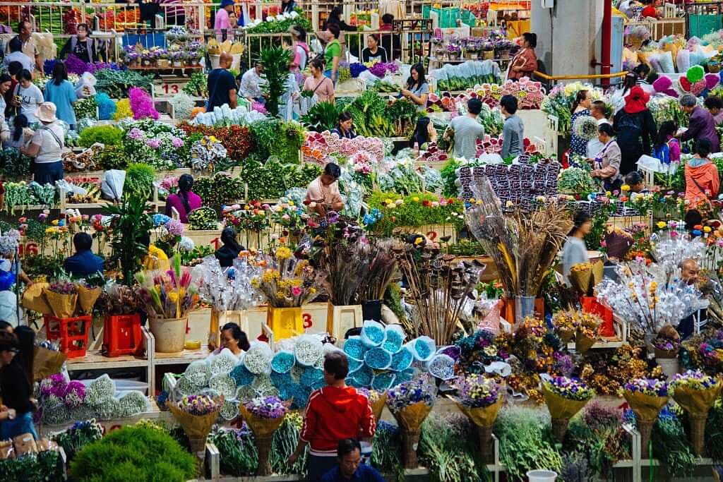 Dounan Flower Market - Image 1