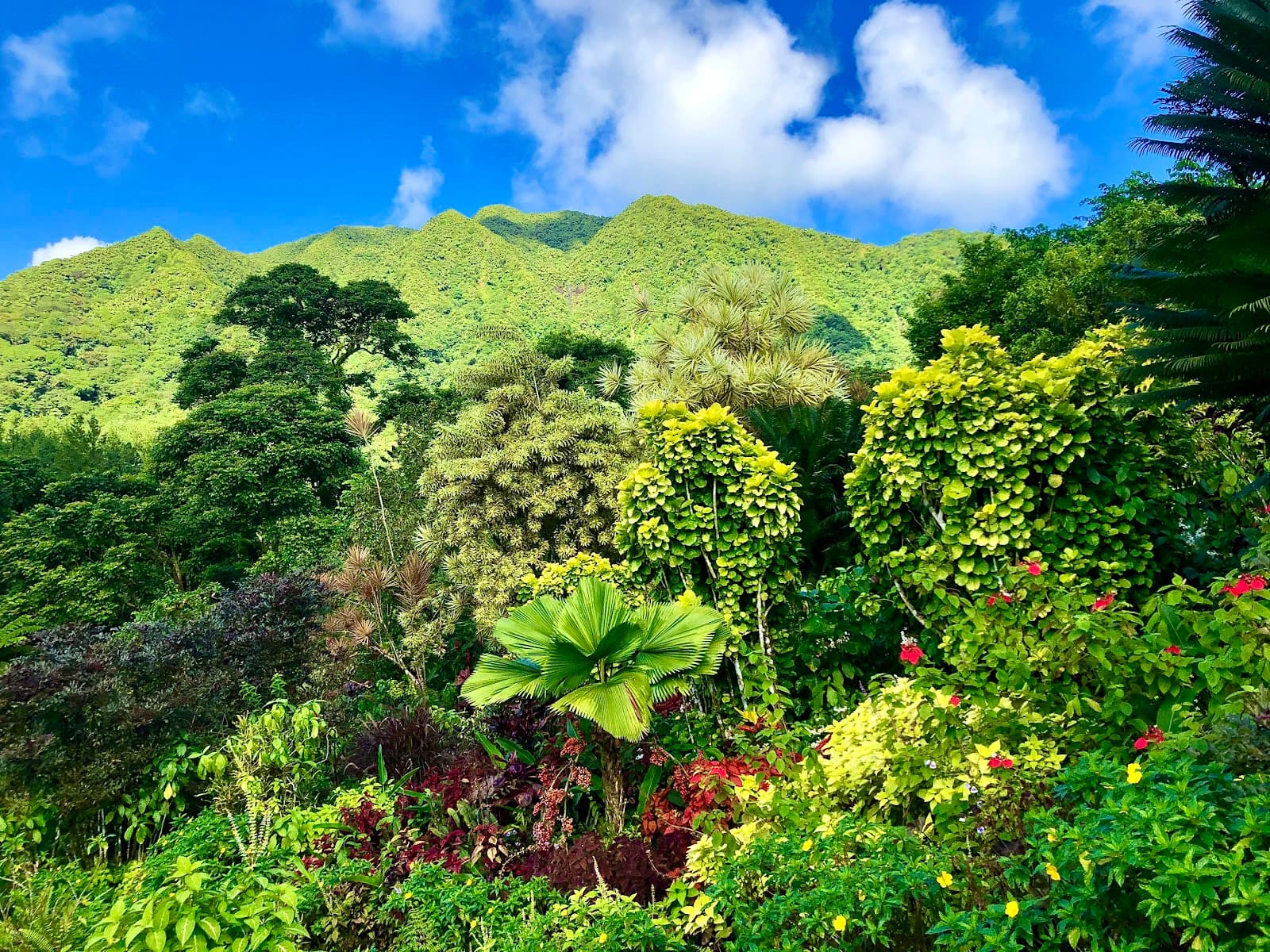 Montreal Gardens - Image 1