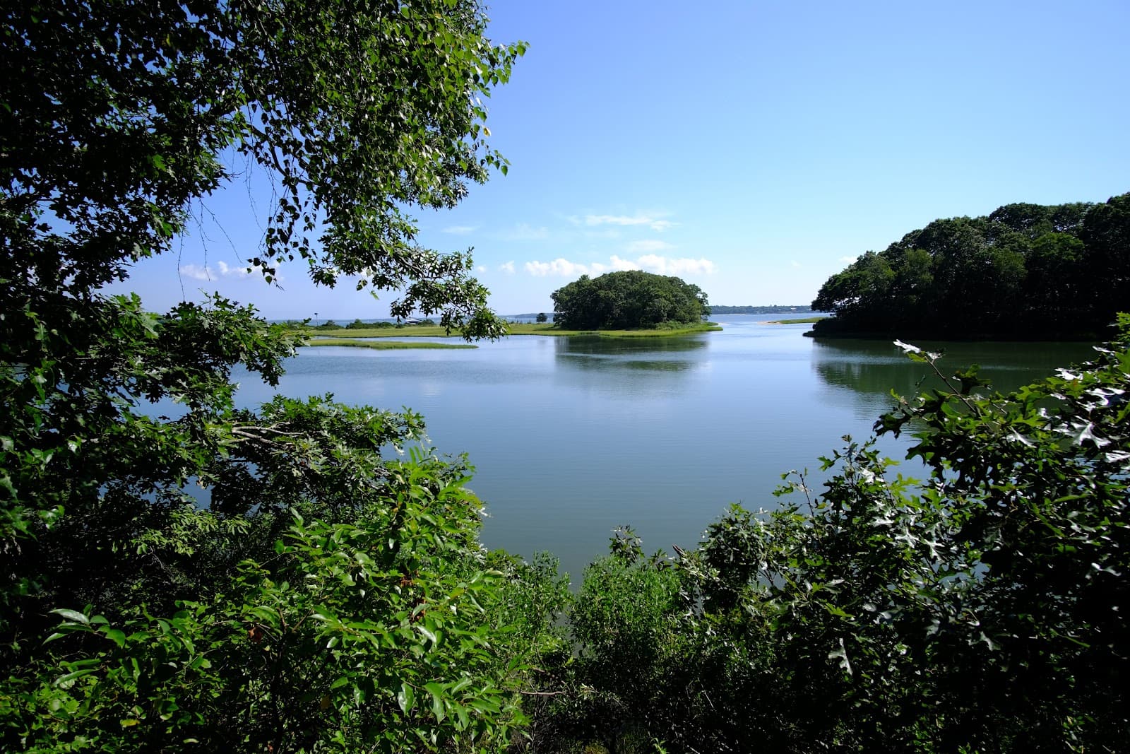 Mashomack Preserve (Shelter Island) - Image 1