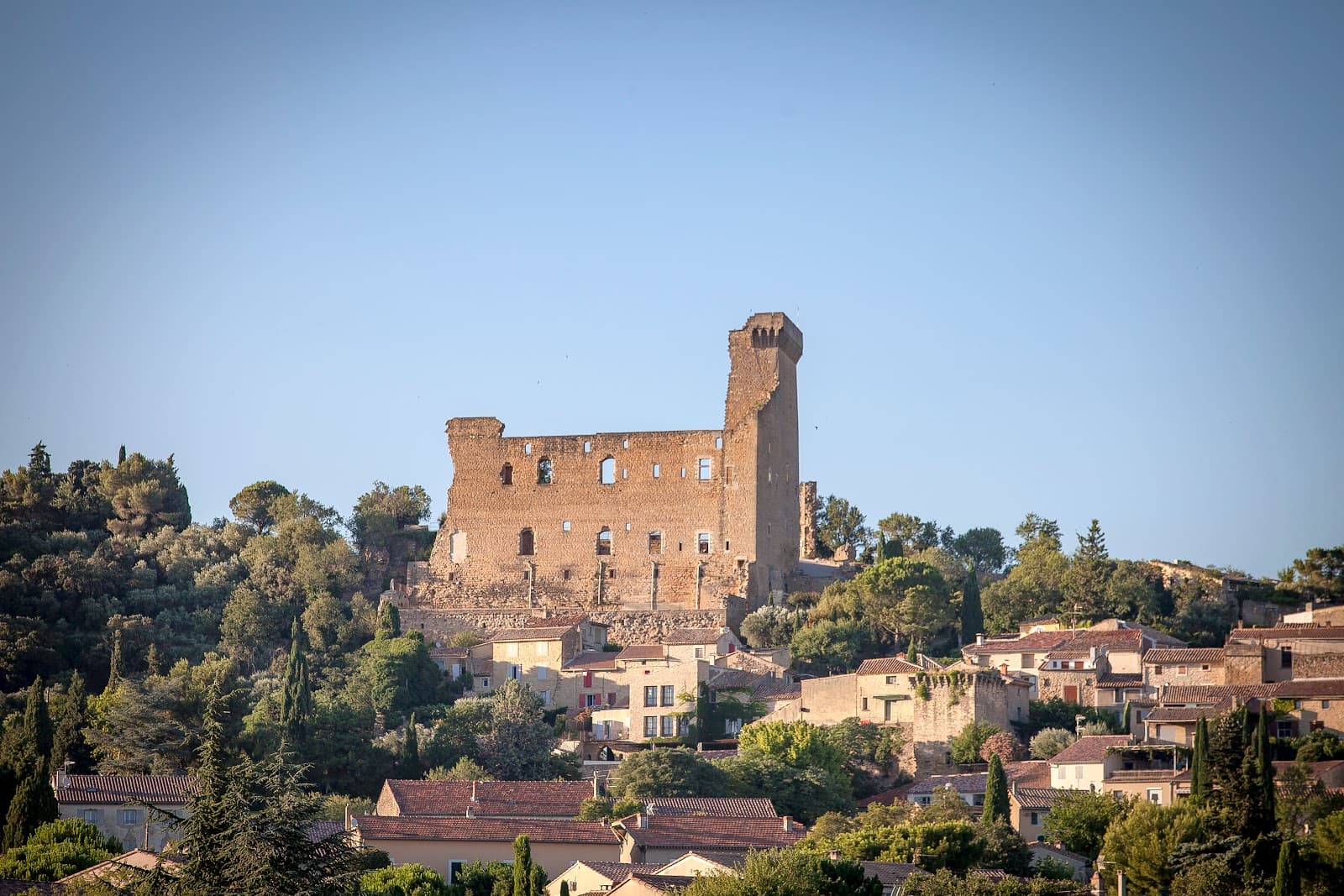Château de Châteauneuf-du-Pape - Image 1