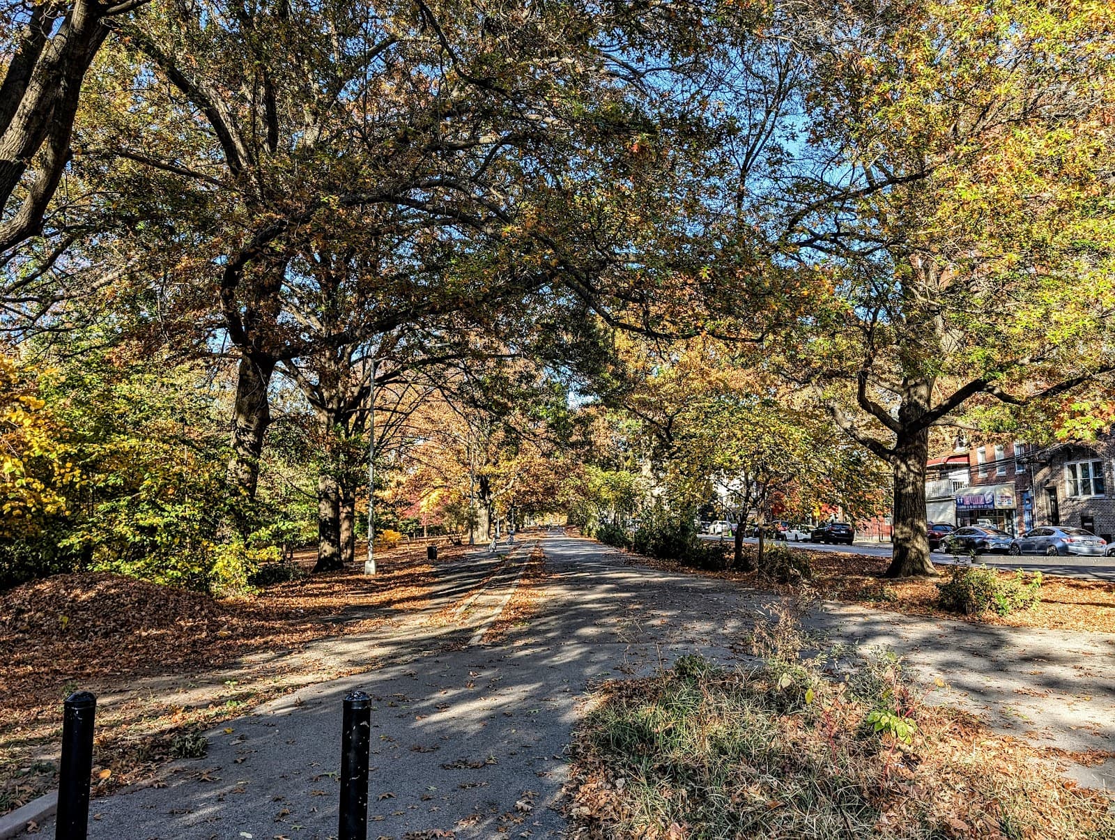 Bronx River Greenway - Image 1