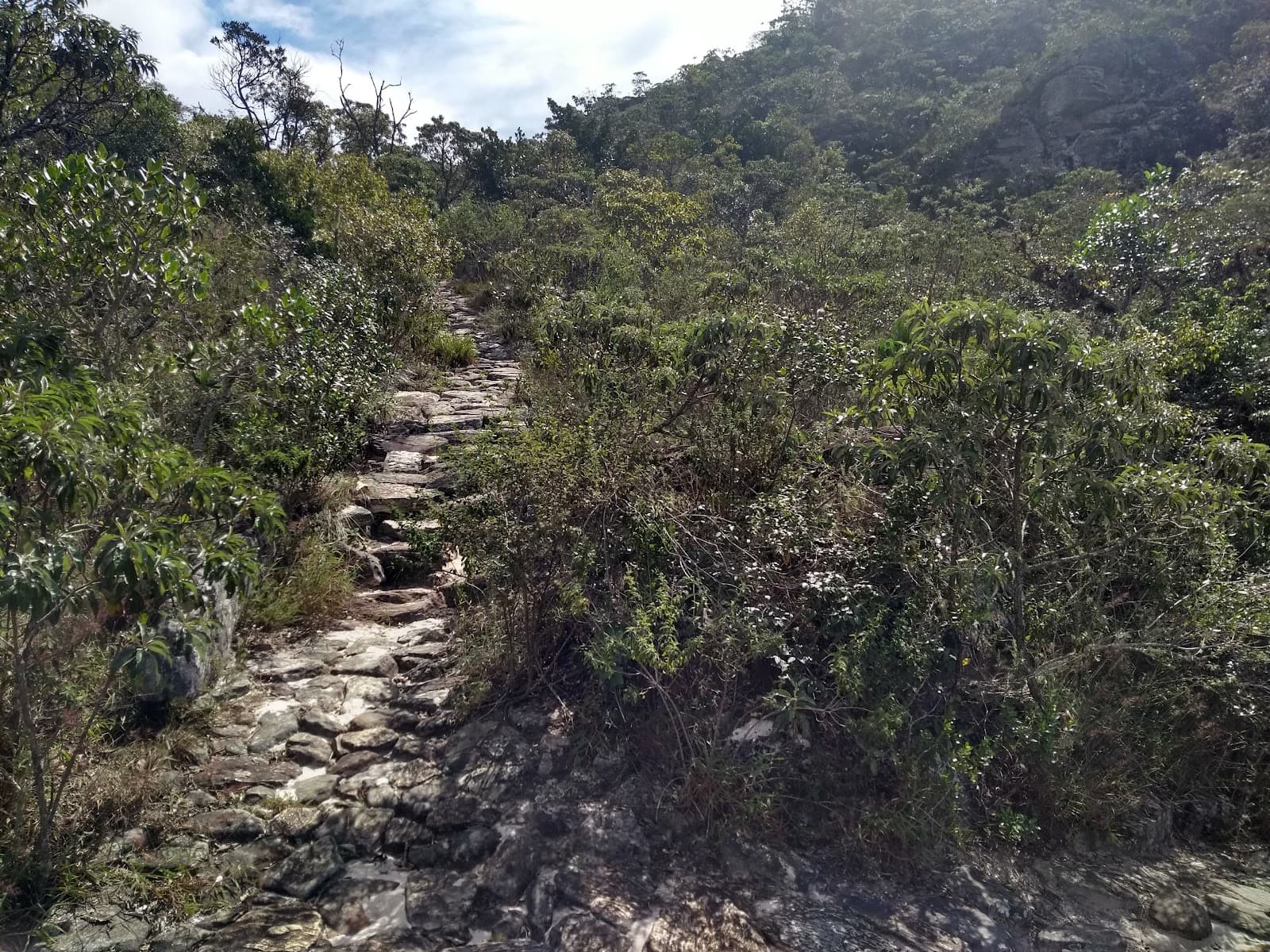 Calçada dos Escravos - Image 1