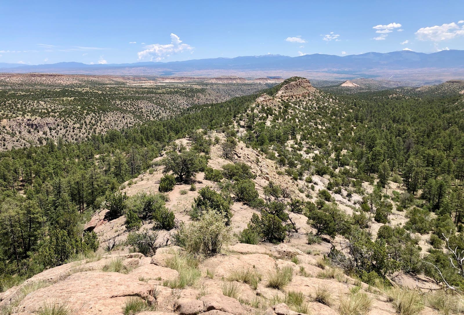 Deer Trap Mesa Trail - Image 1