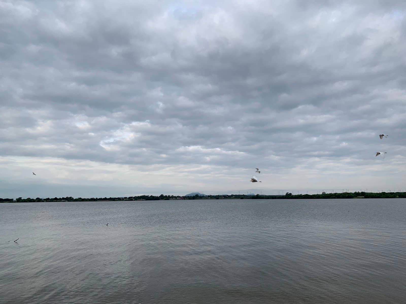 Relaxing Lakeside Atmosphere