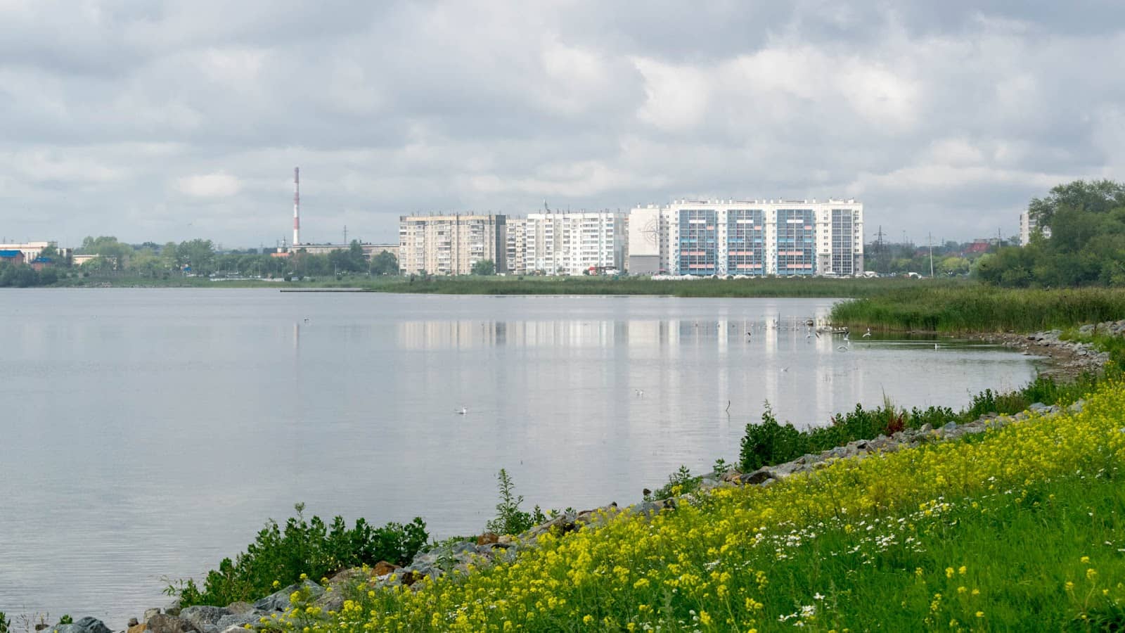 Walking and Biking Paths
