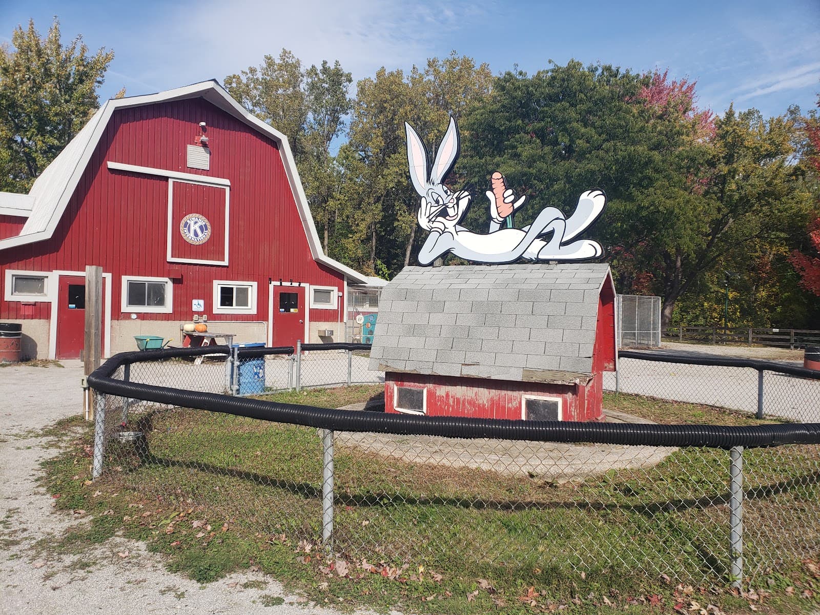 Children's Animal Farm (Canatara) - Image 1