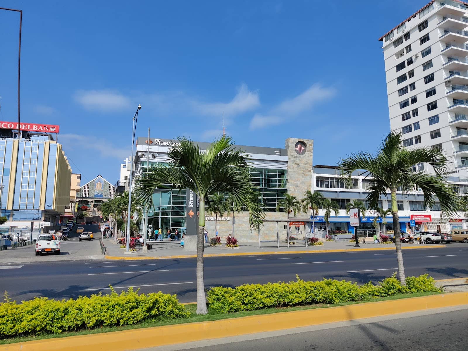 Alpaca Product Market