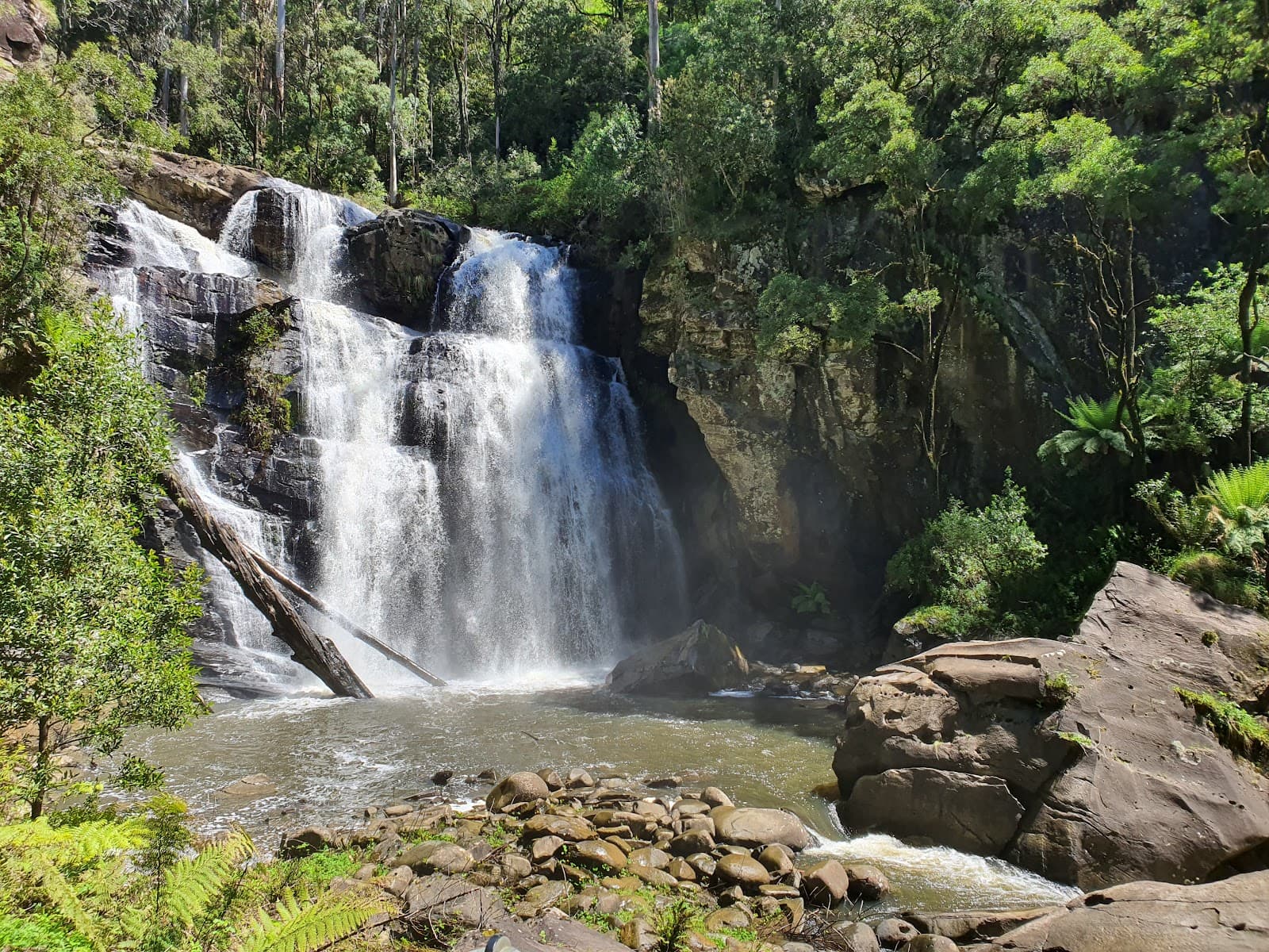 Stevensons Falls (Barramunga) - Image 1