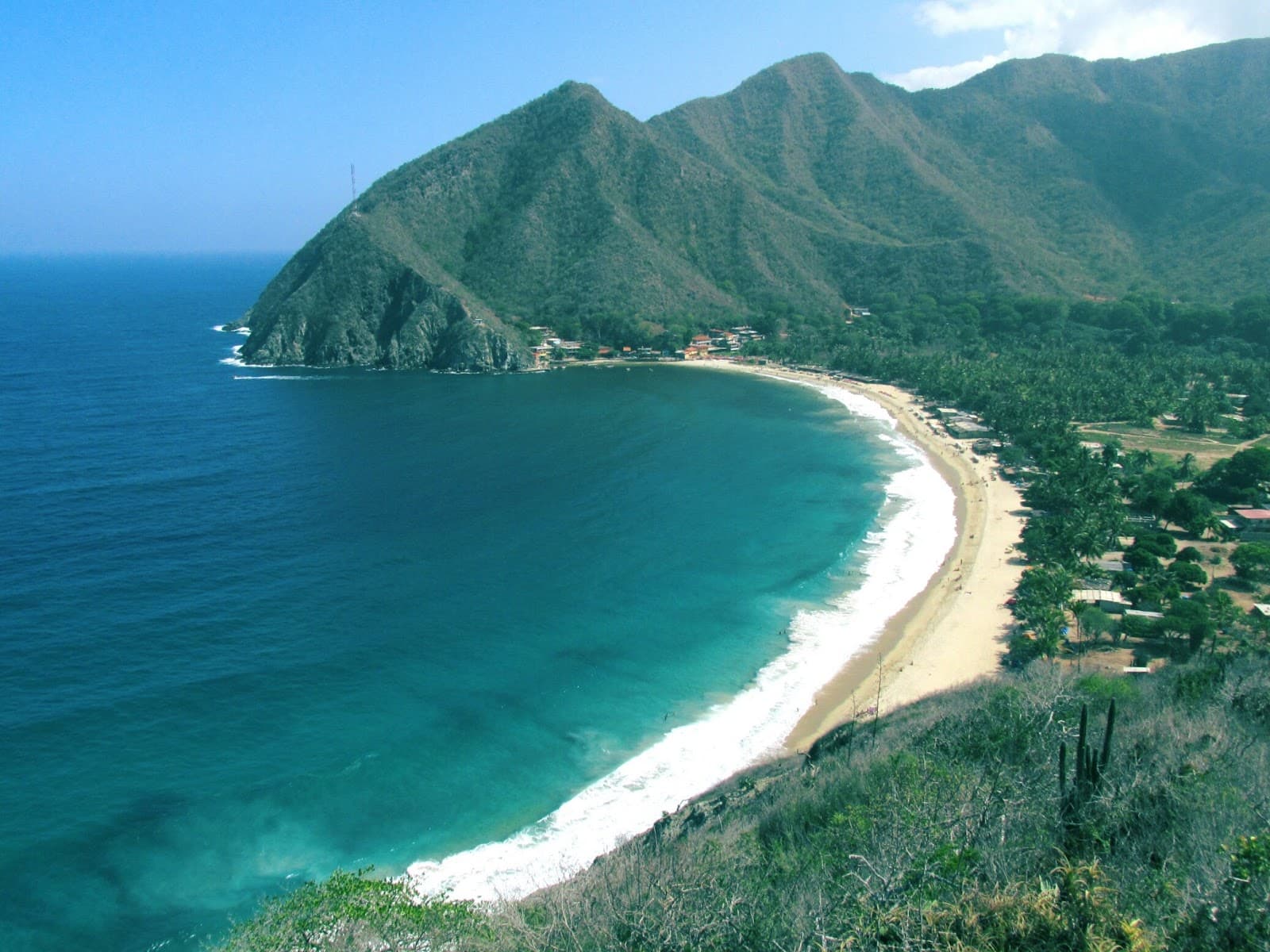 Cacao plantations of Chuao - Image 1