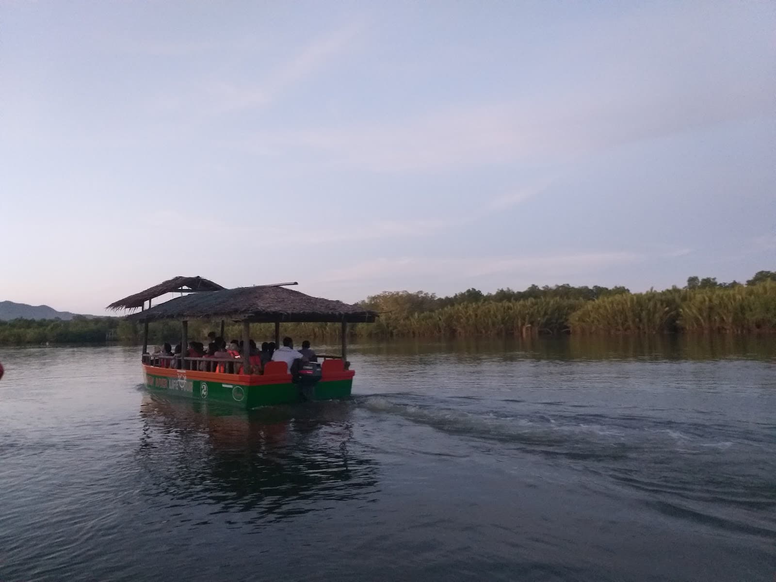Abatan River Firefly Watching (Cortes) - Image 1