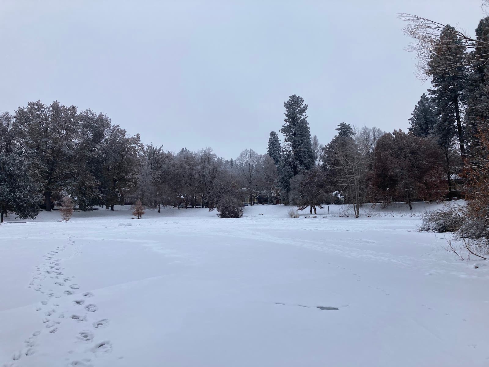 Cannon Hill Park Birmingham - Image 1