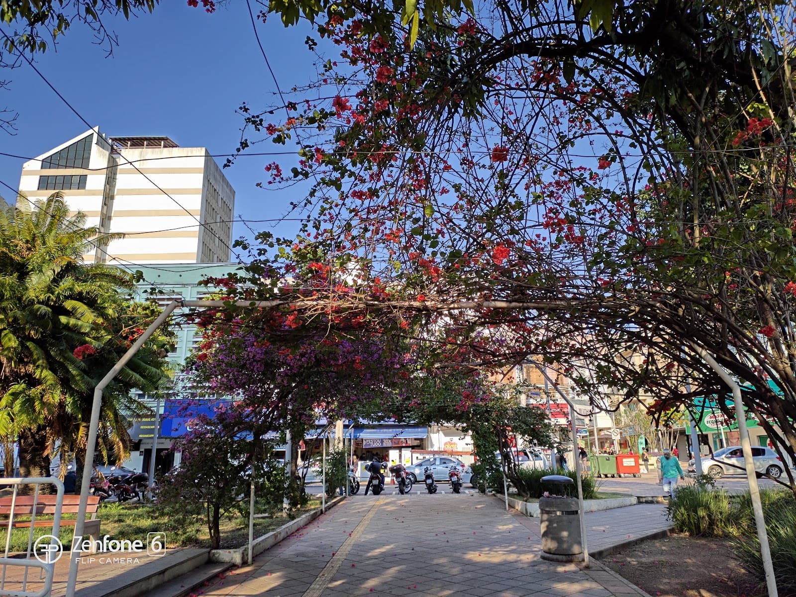 Centro - Image 1