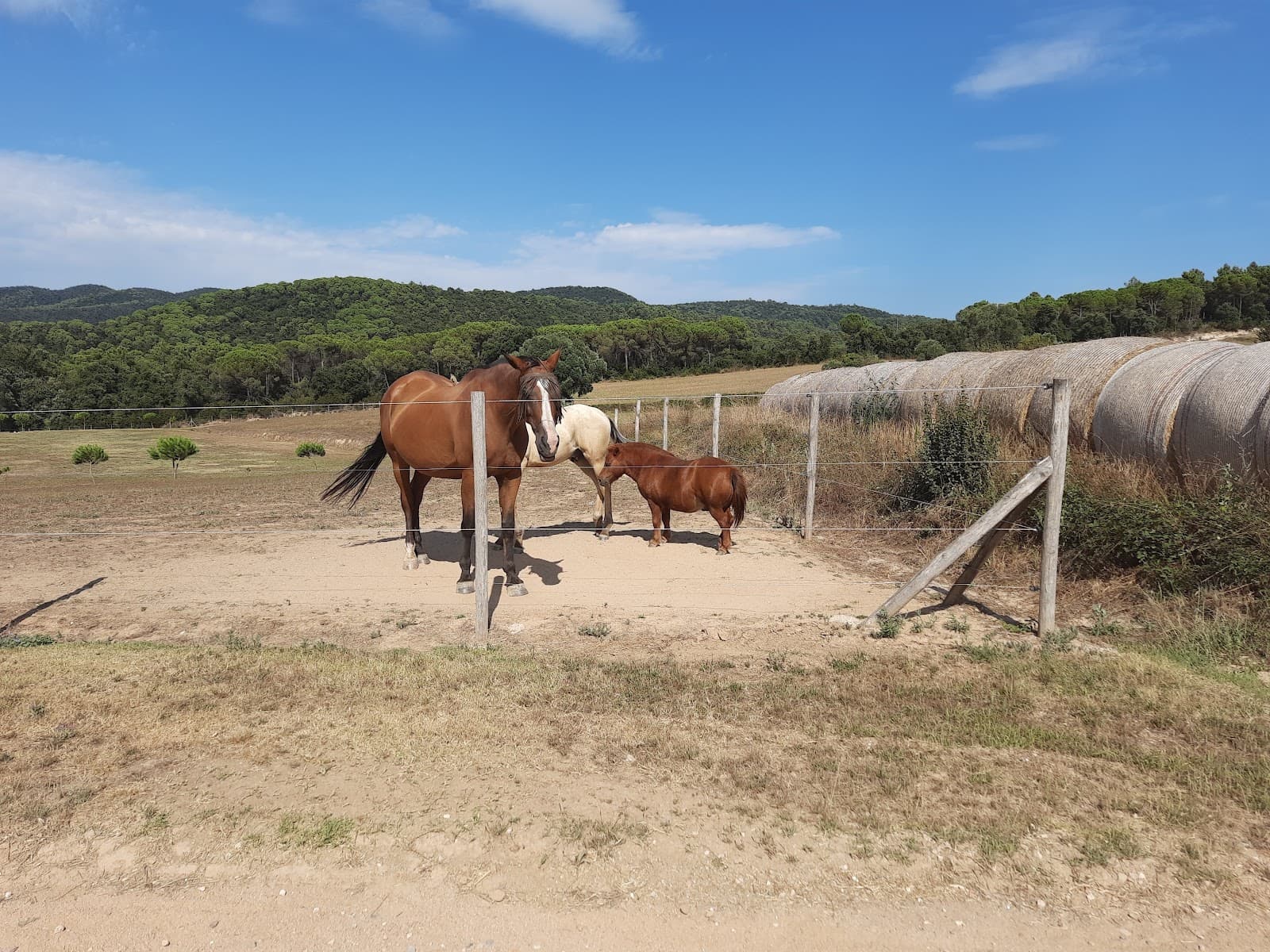 Les Gavarres - Image 1