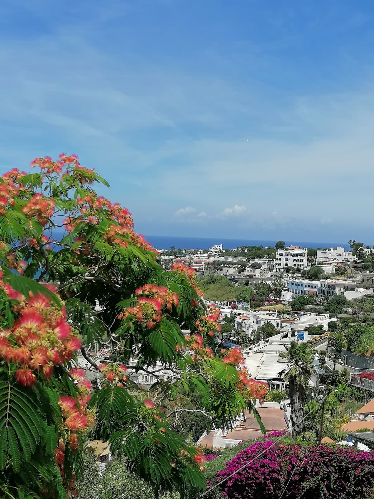 Panza hamlet - Image 1