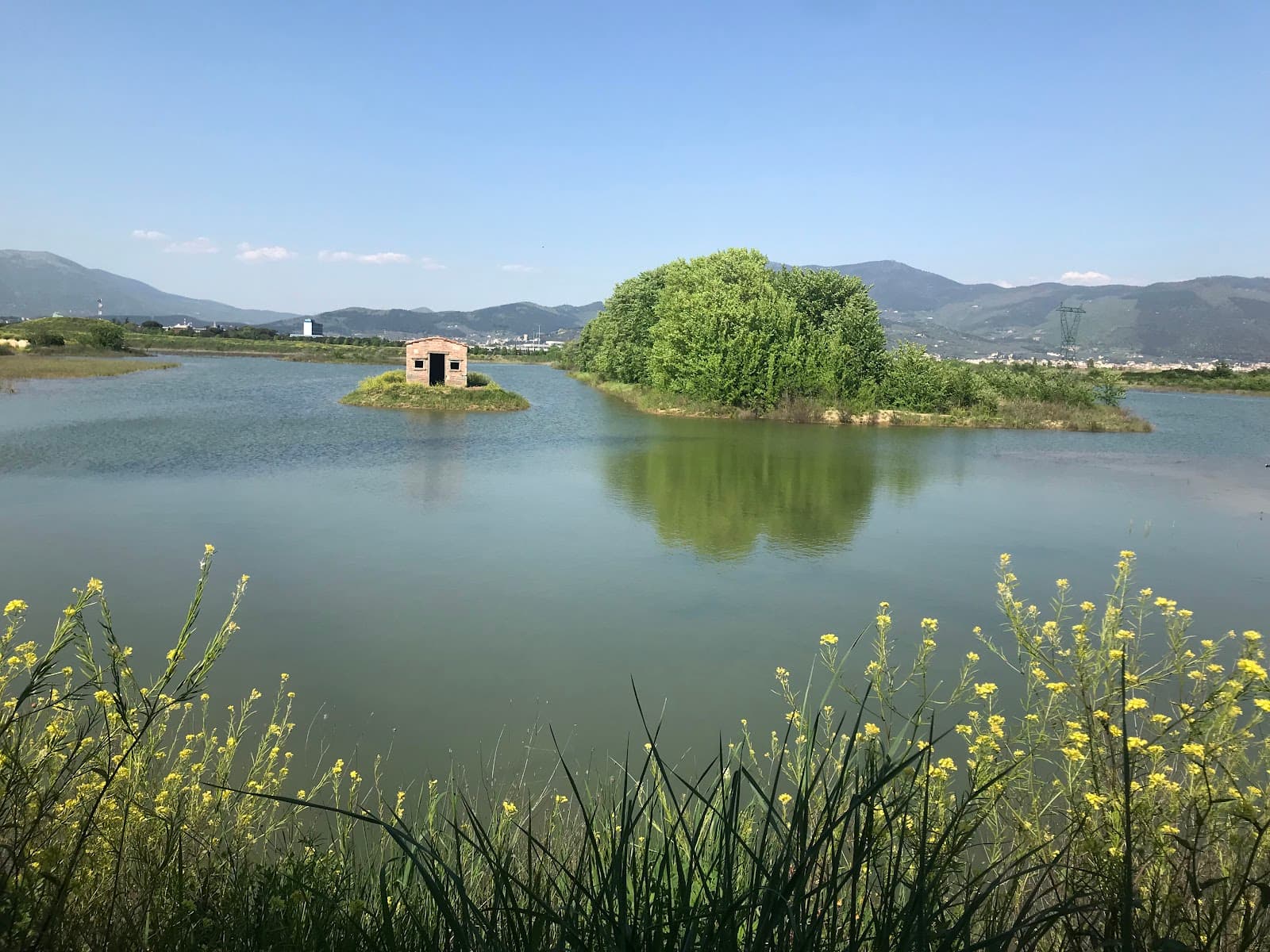 Oasi WWF Stagni di Focognano - Image 1