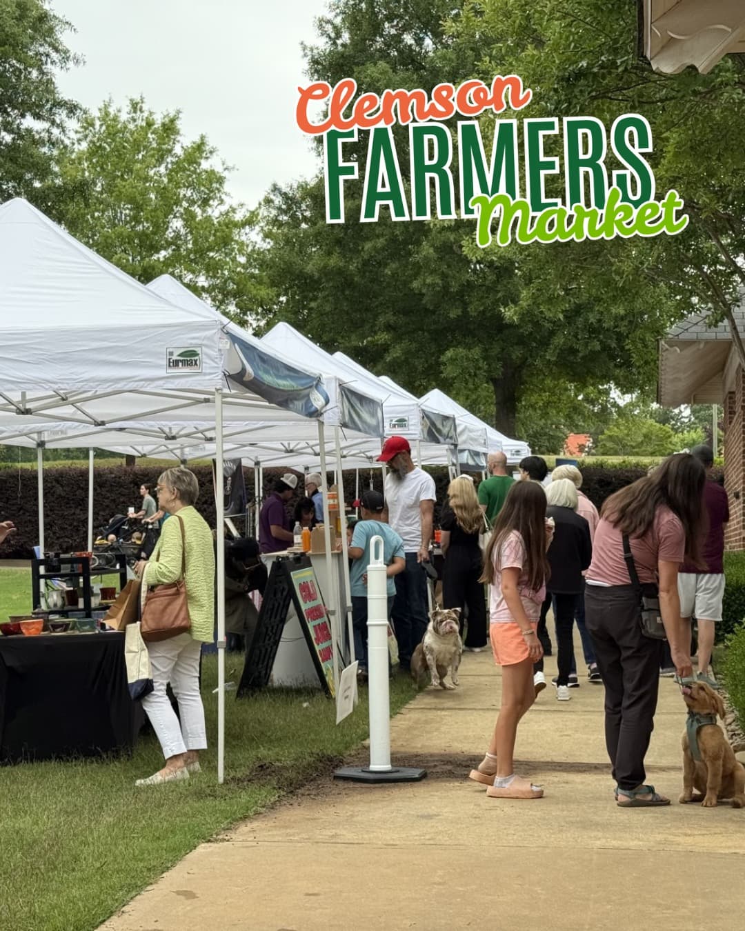 Clemson Farmers Market - Image 1