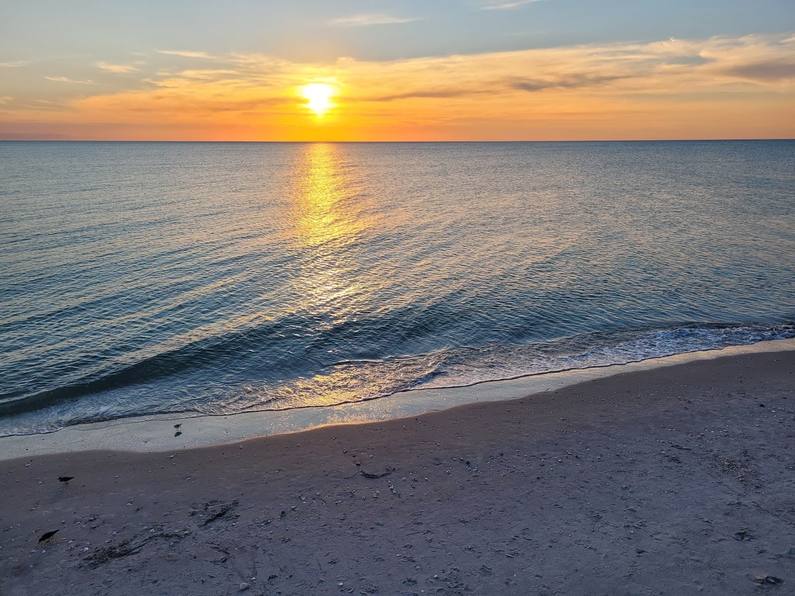 Lemon Bay Aquatic Preserve - Image 1