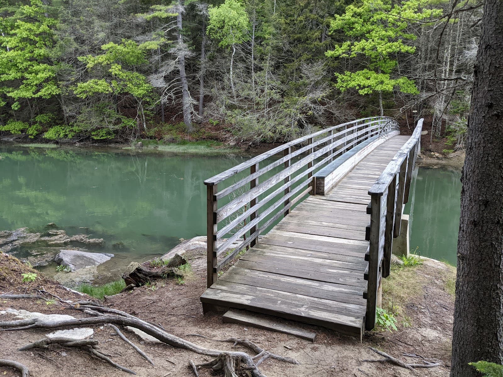 Ovens Mouth Preserve - Image 1