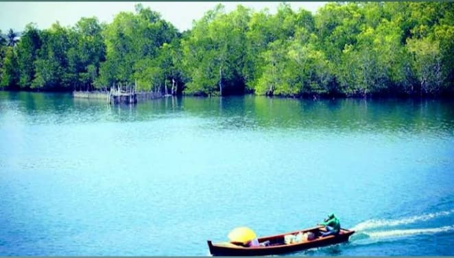 Kualo Mangrove Park - Image 1