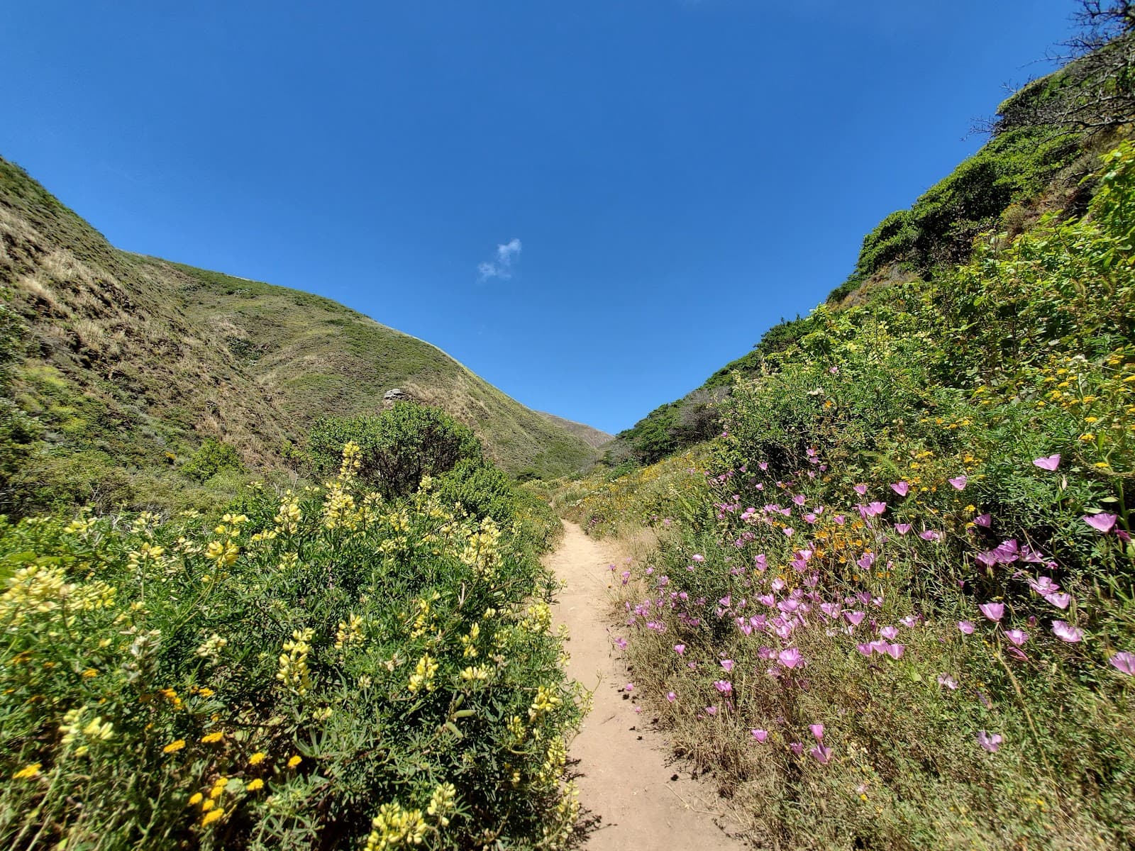Soberanes Canyon Trail - Image 1