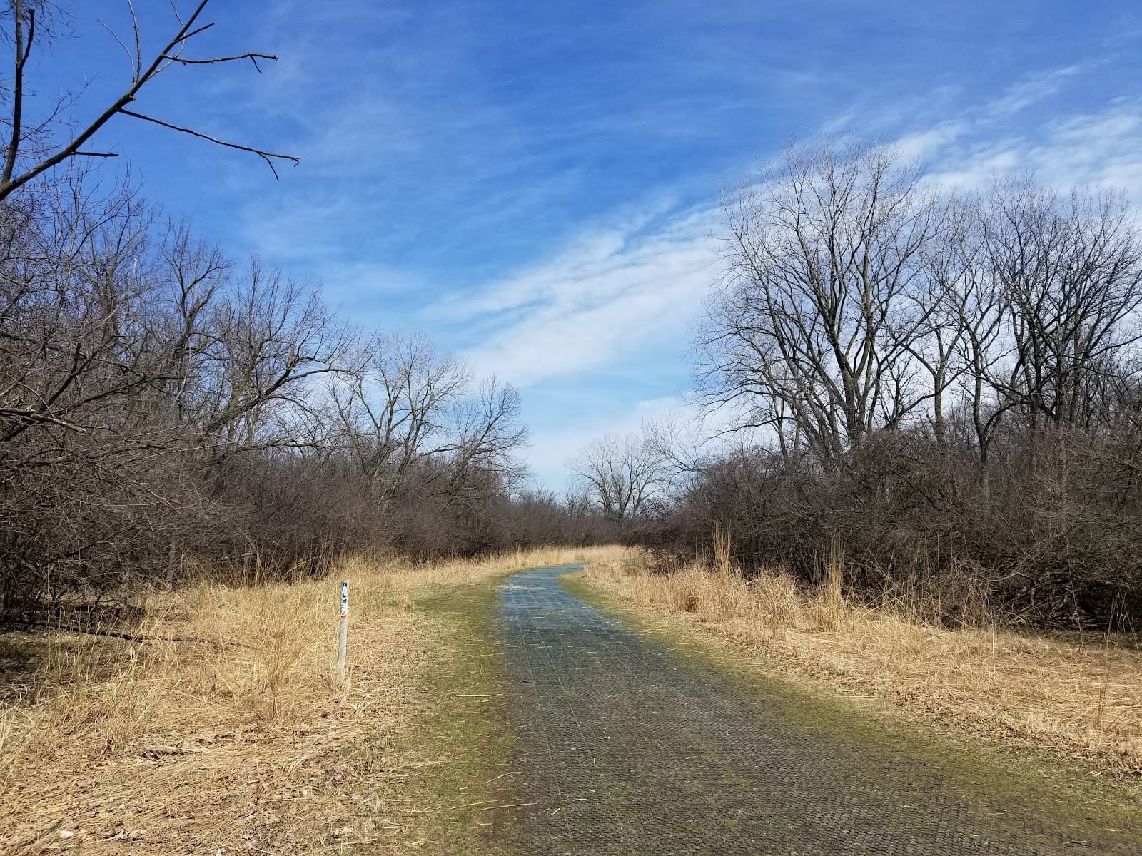 Catherine Chevalier Woods - Image 1