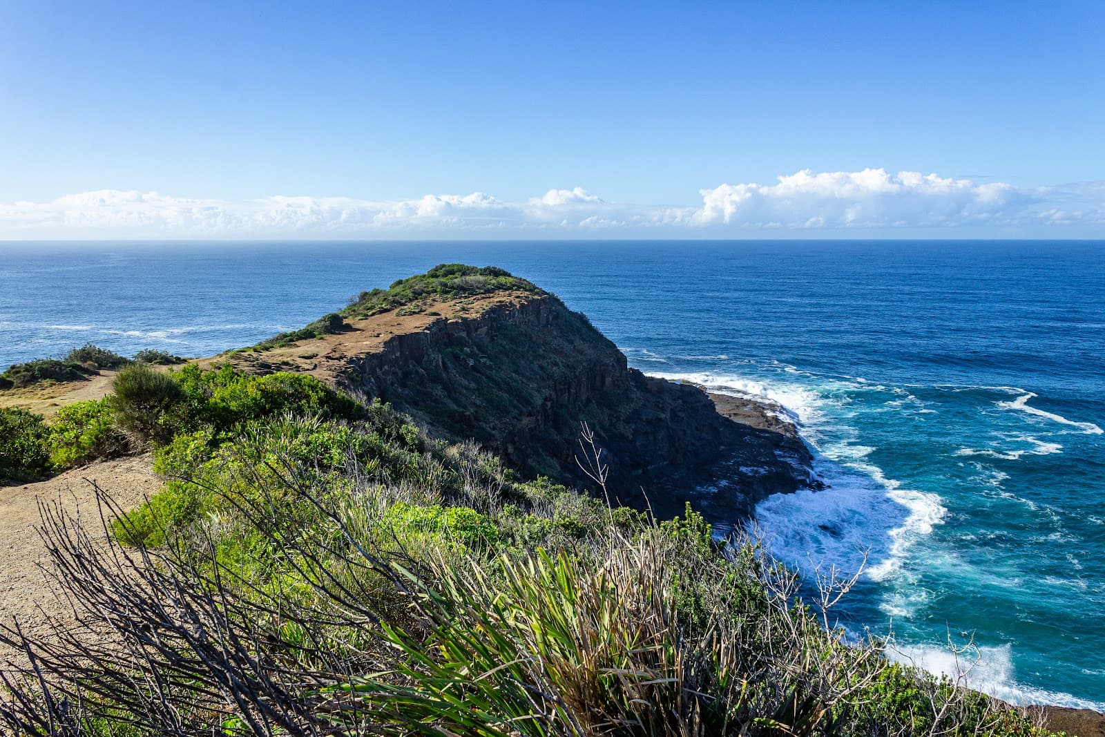 Wyrrabalong National Park (South) - Image 1