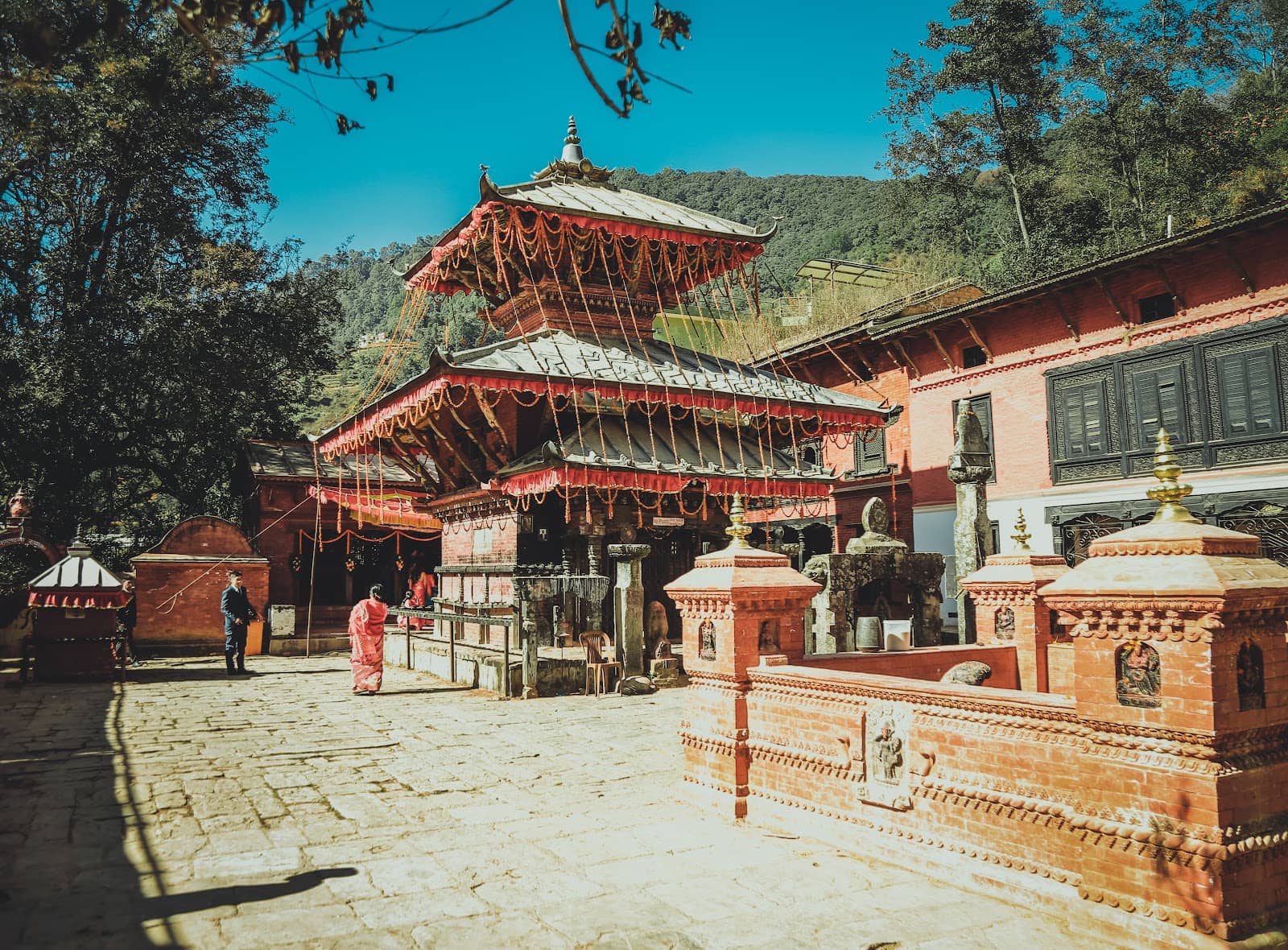 Lush Green Surroundings