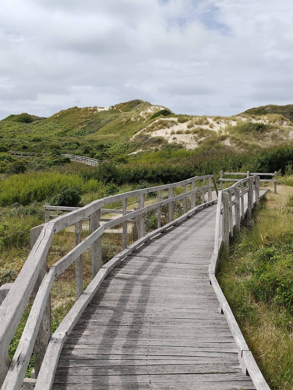 Nature and Wildlife Spotting