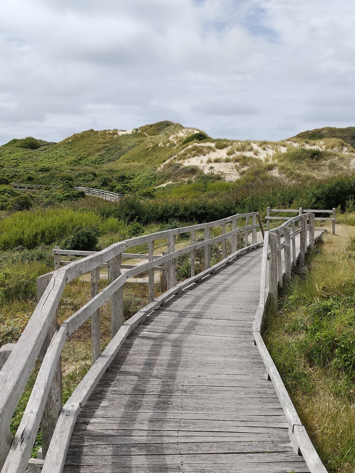 Dunes de Merlimont - Image 1