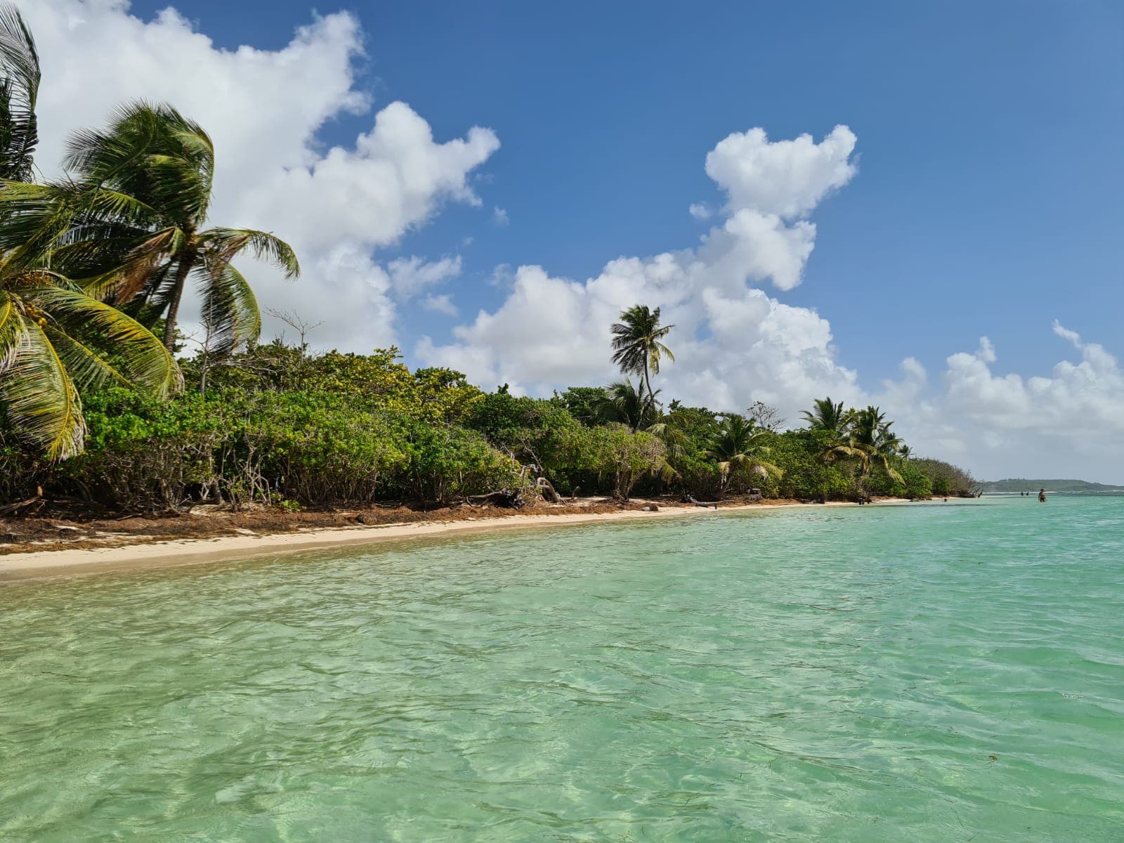 Bois Jolan Beach - Image 1