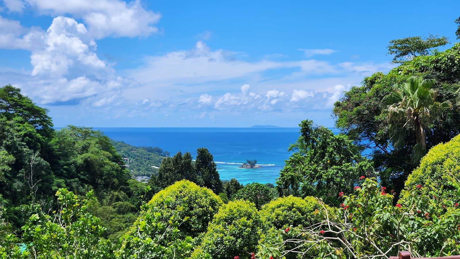 Creole Restaurant Dining