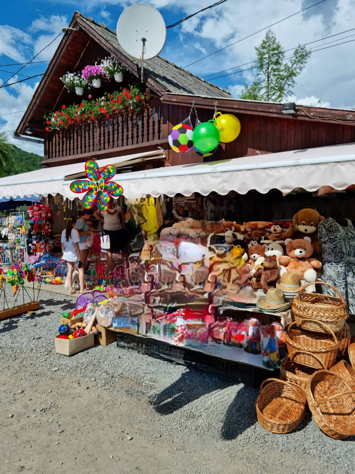 Trout Fishing Experience