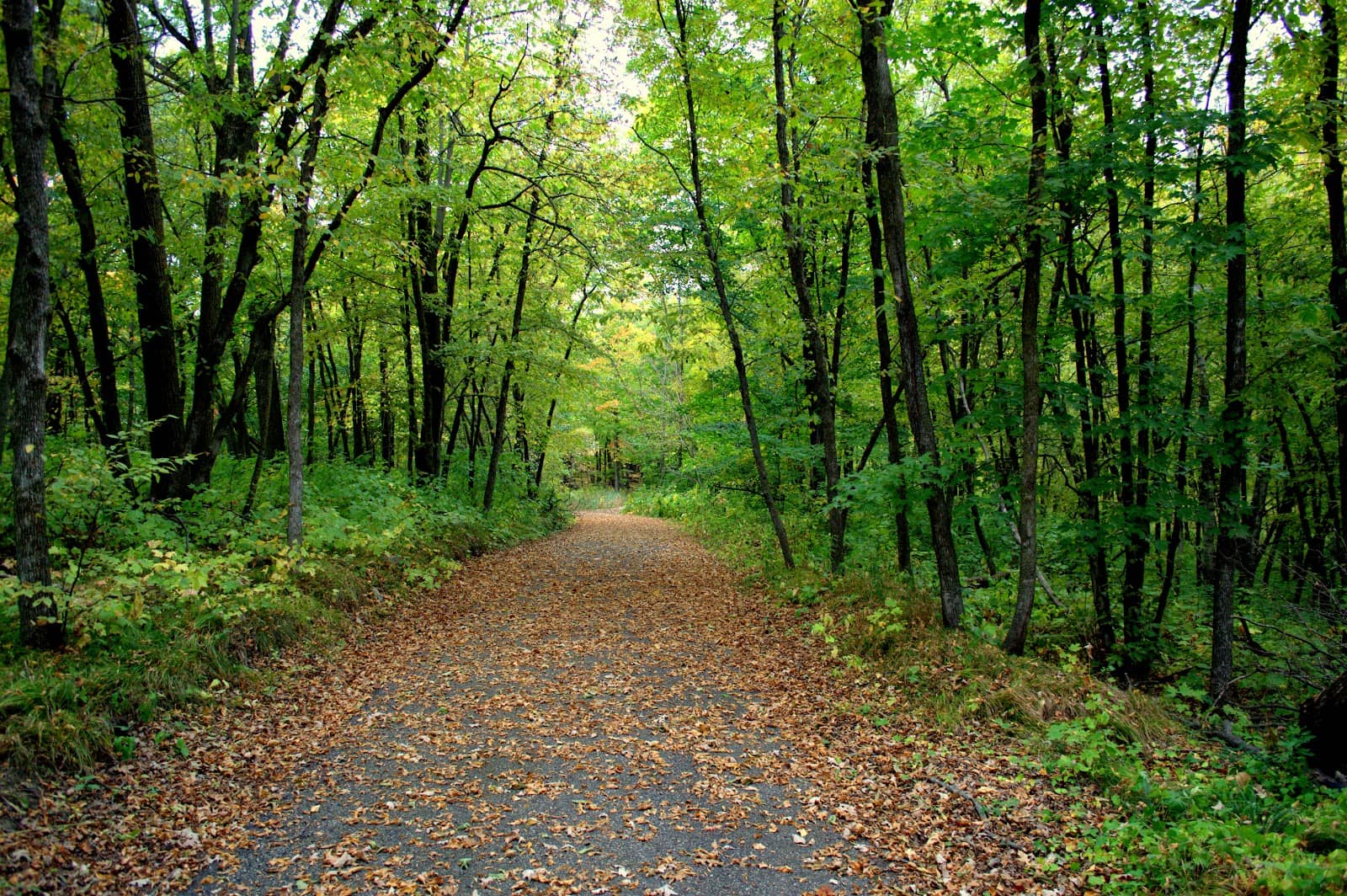Peaceful Paved Trails