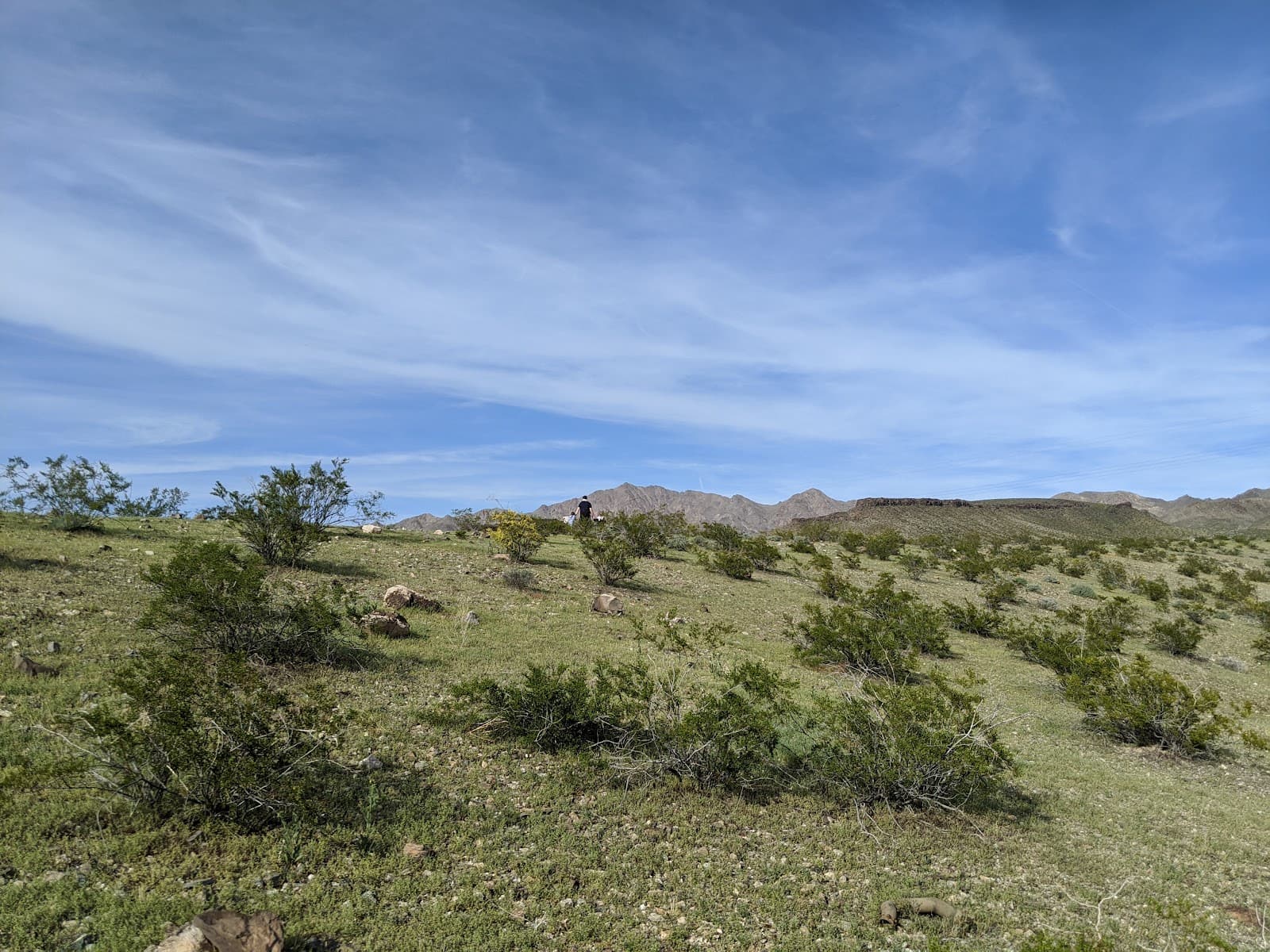 Kaibab National Forest Williams Ranger District - Image 1
