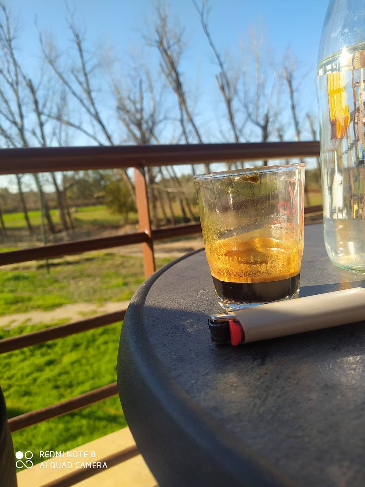 Local Flora and Fauna