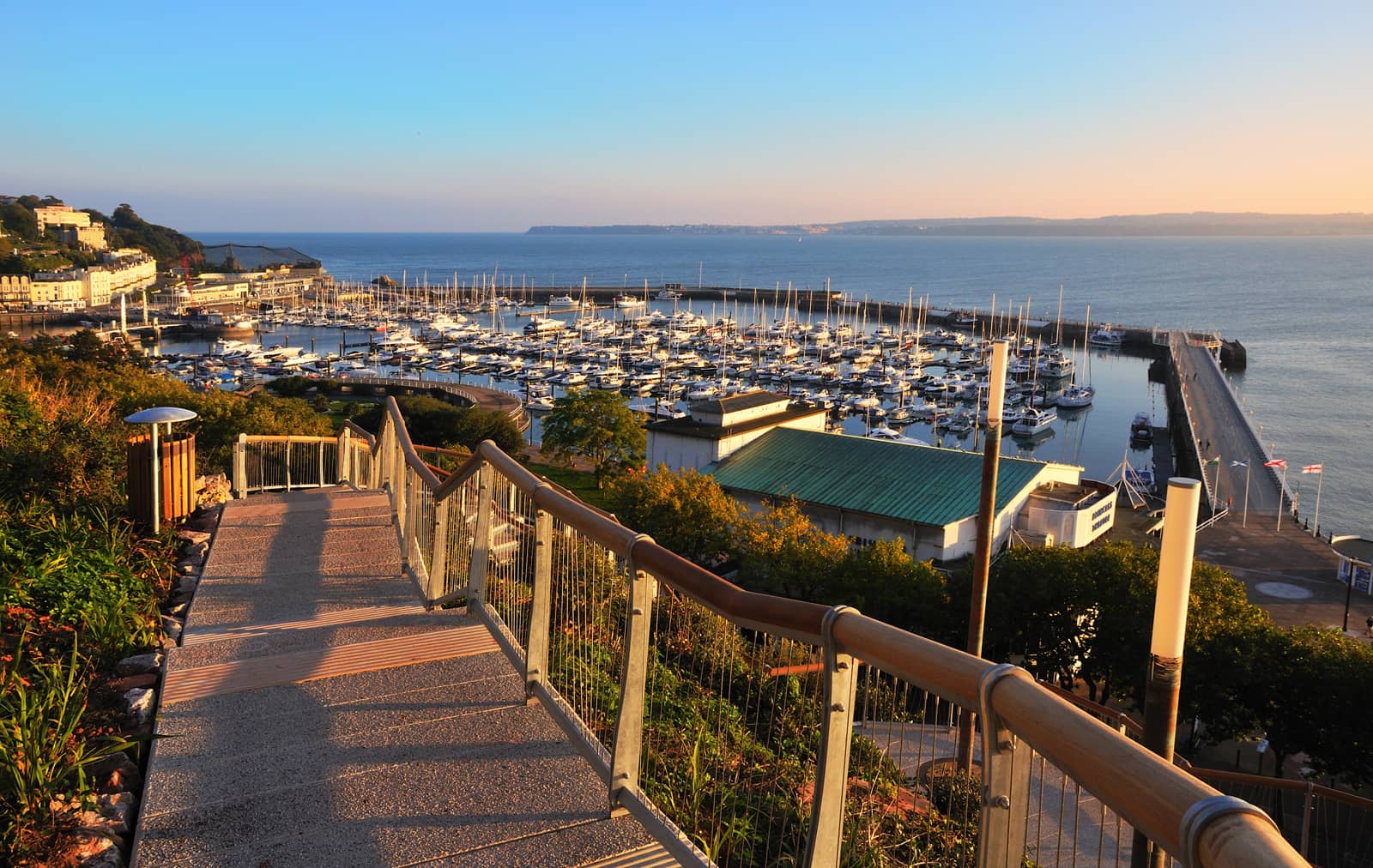 Exotic Plant Collection