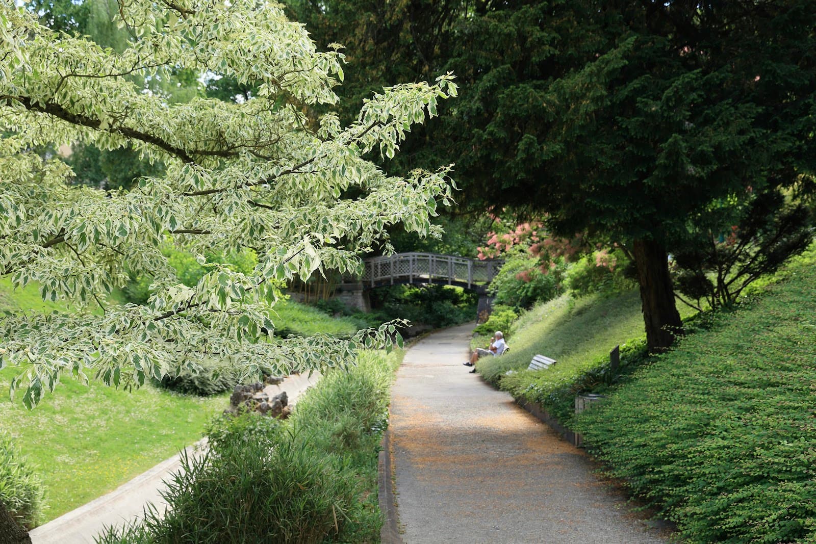 La Vallée Suisse Park - Image 1