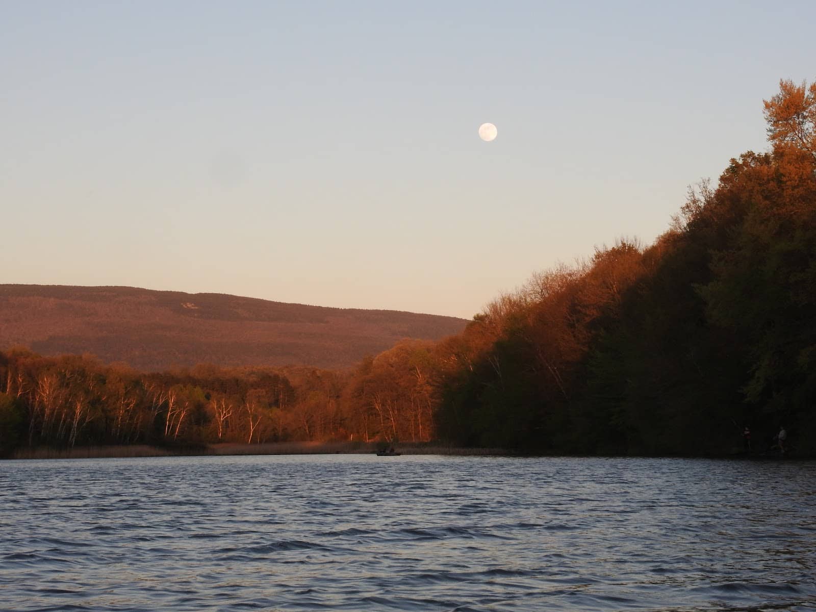 Prize-Winning Bass Fishing