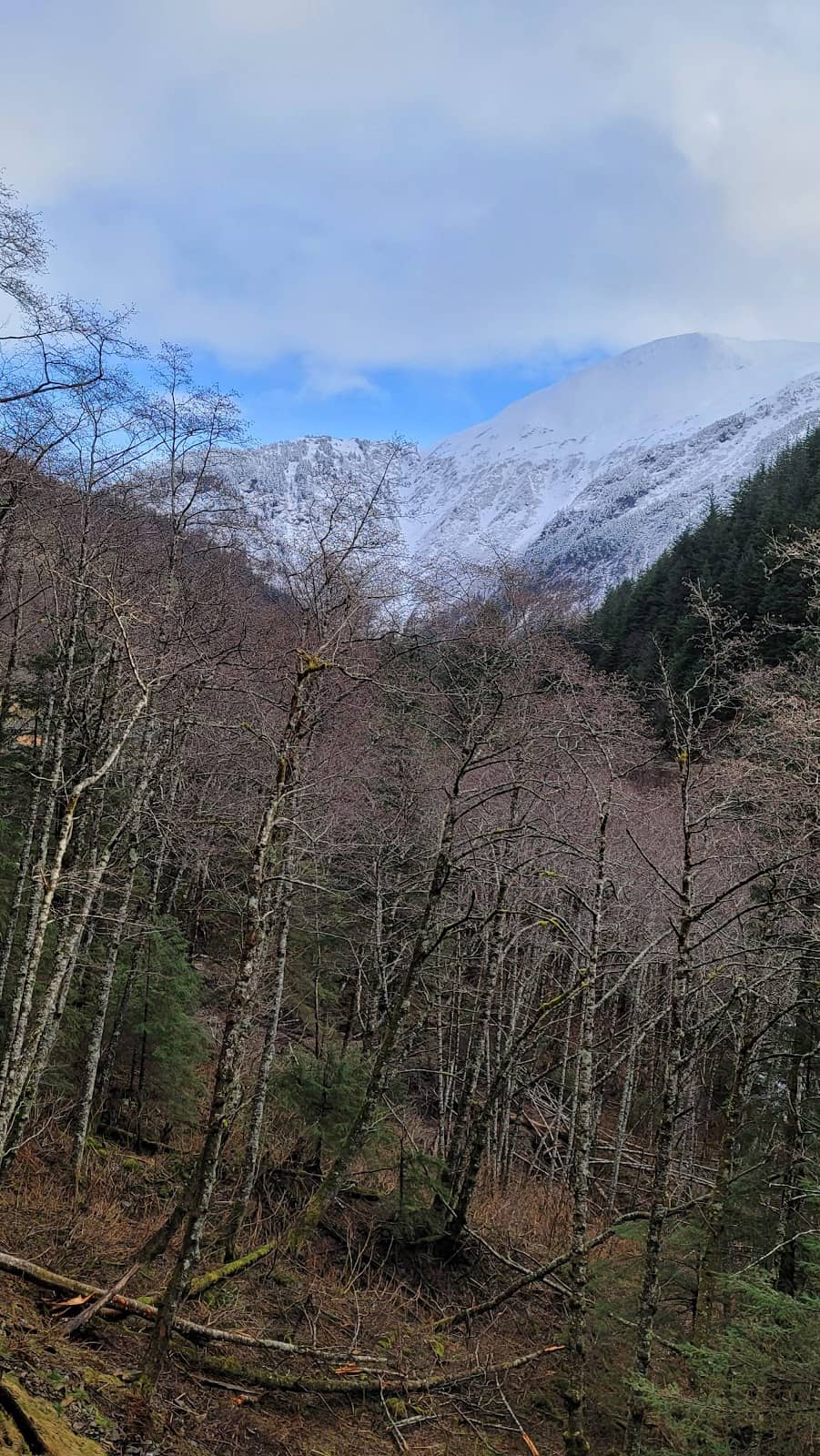Boardwalk and Bridge Path