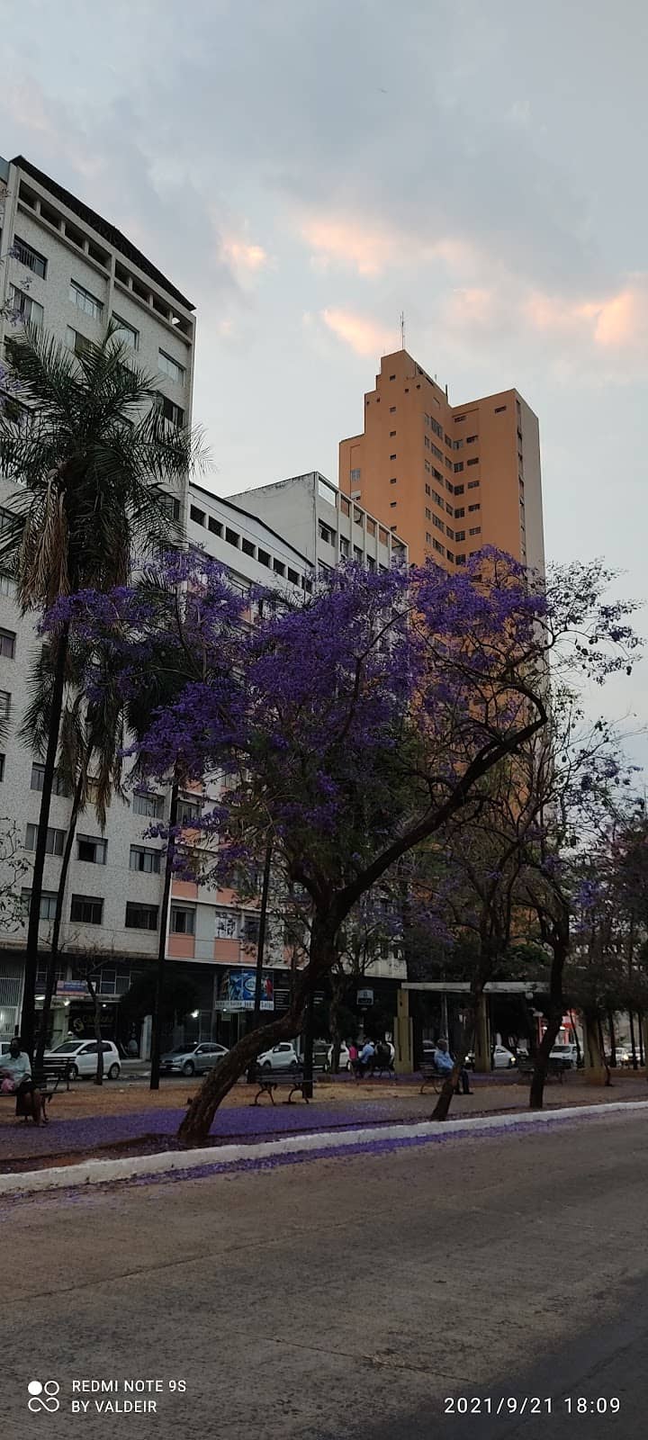 Vertical photo