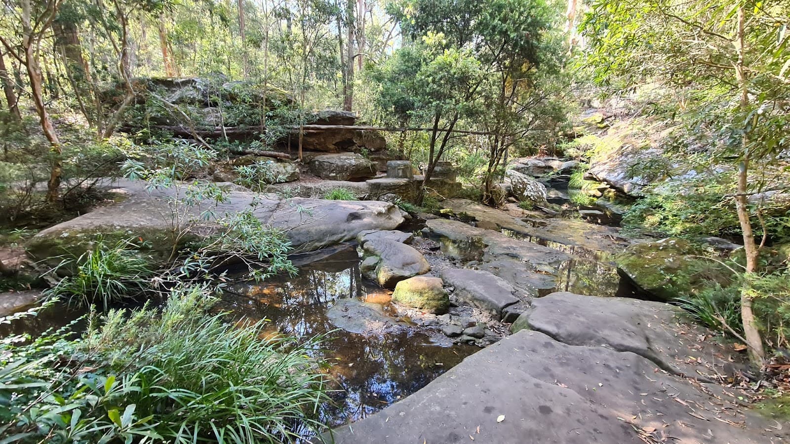 Bidjigal Reserve - Image 1