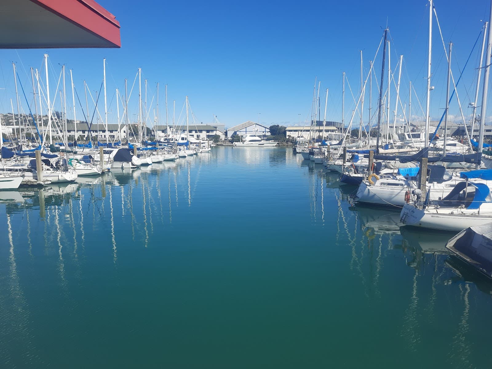 Nelson City Wharf & Marina - Image 1