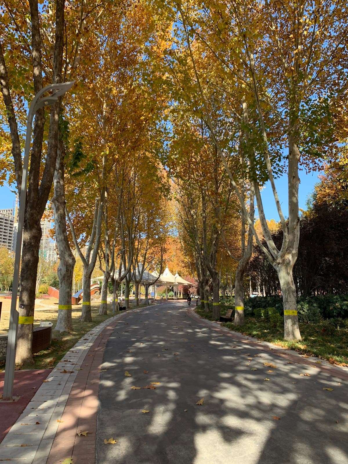 Zhengzhou Botanical Garden - Image 1