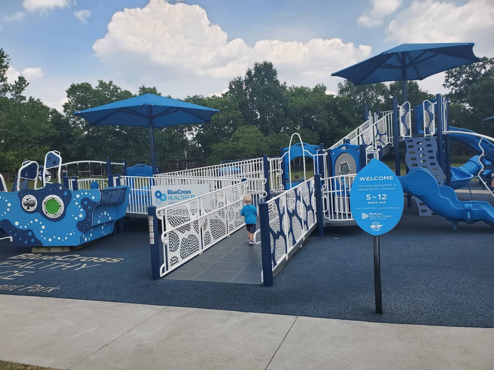 Marshall Knobs Trail