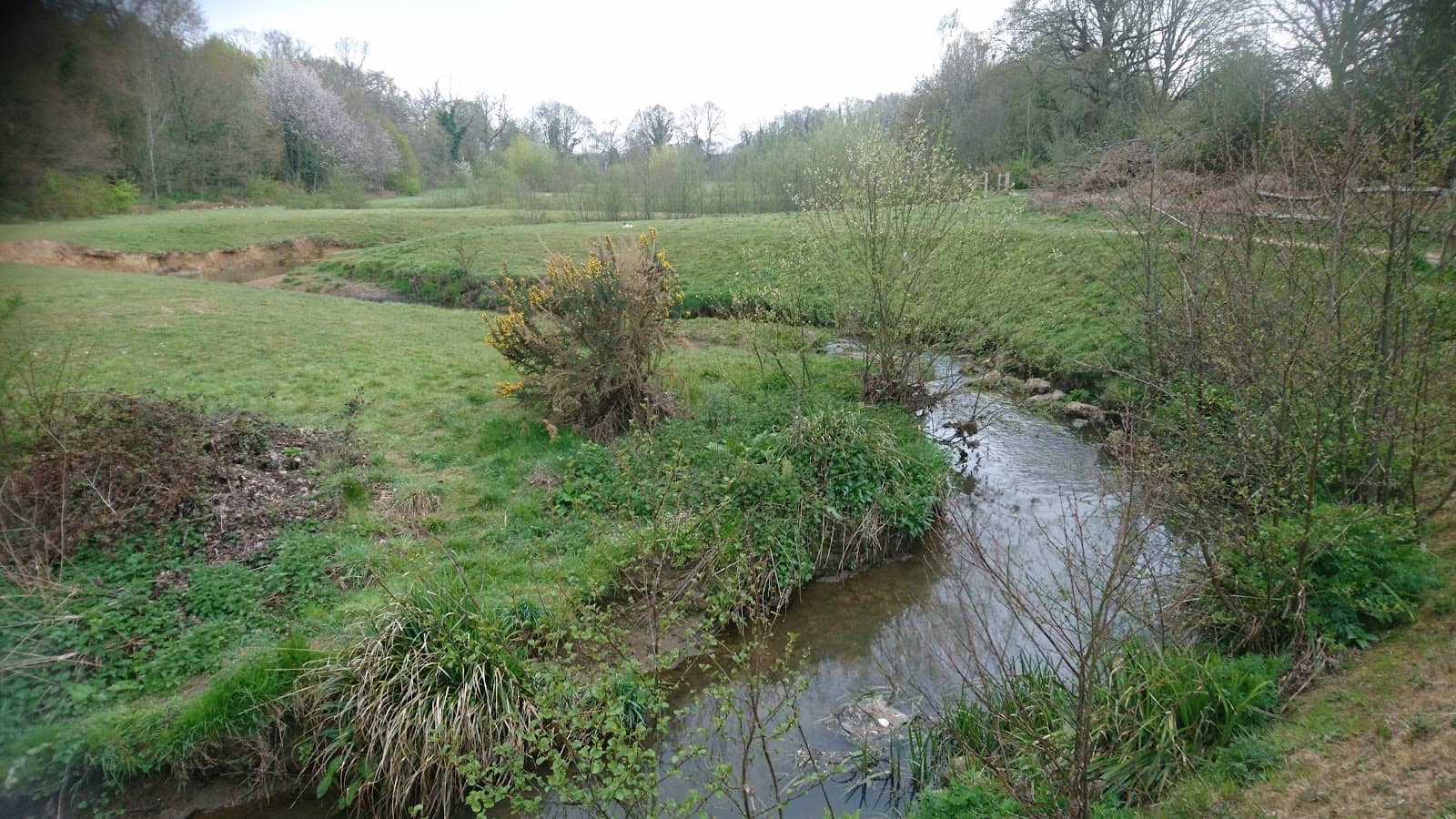 Open Field & Basketball Court