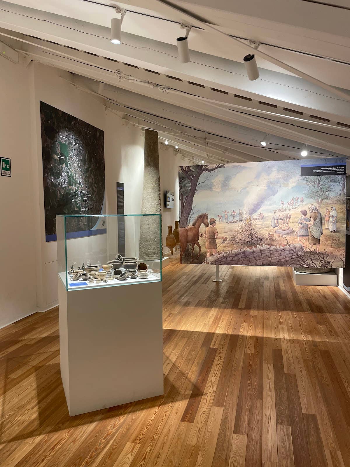 3D Films & Multimedia