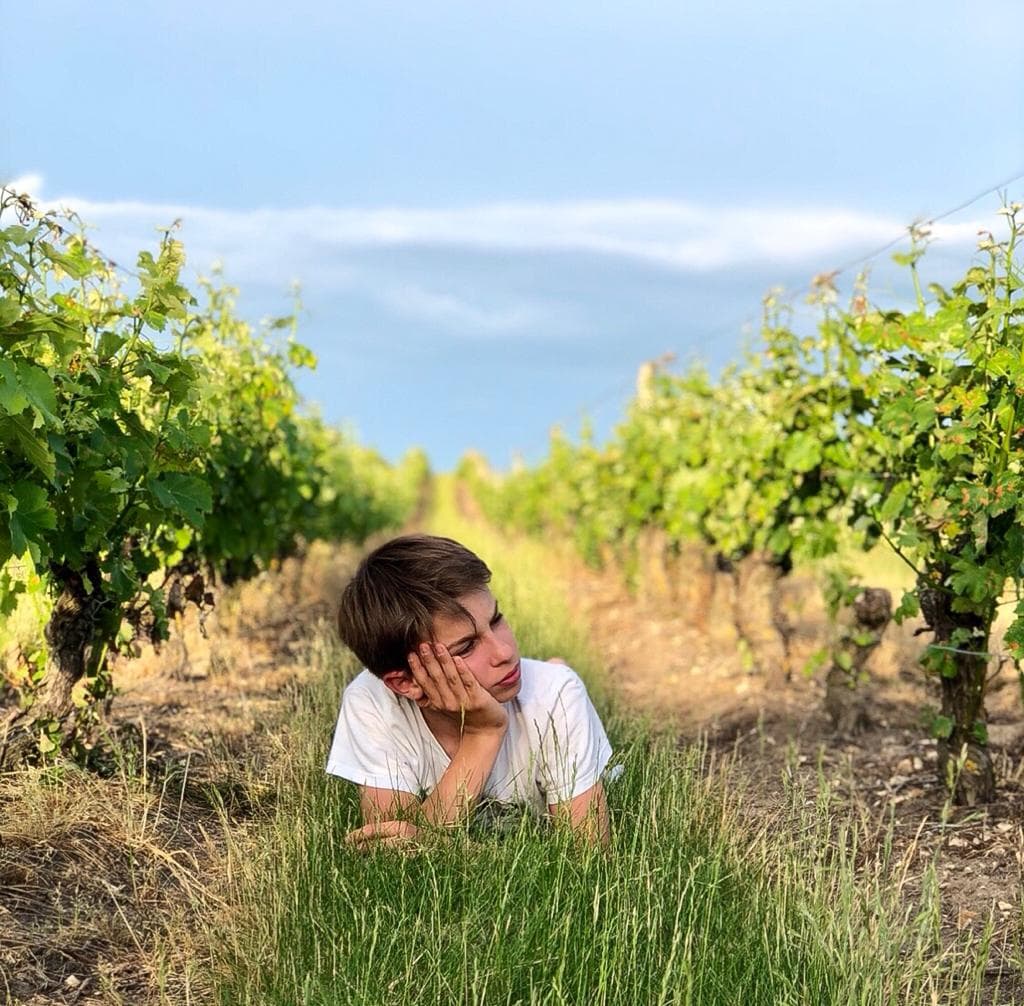 Saint-Romain-sur-Cher Vineyards - Image 1